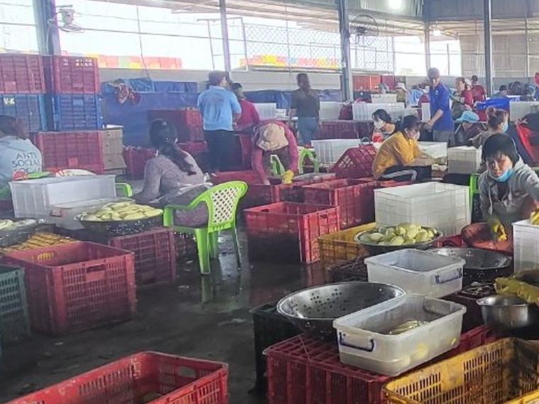 Xưởng phân loại nguyên liệu